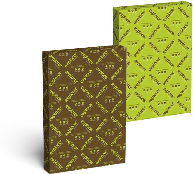 paper